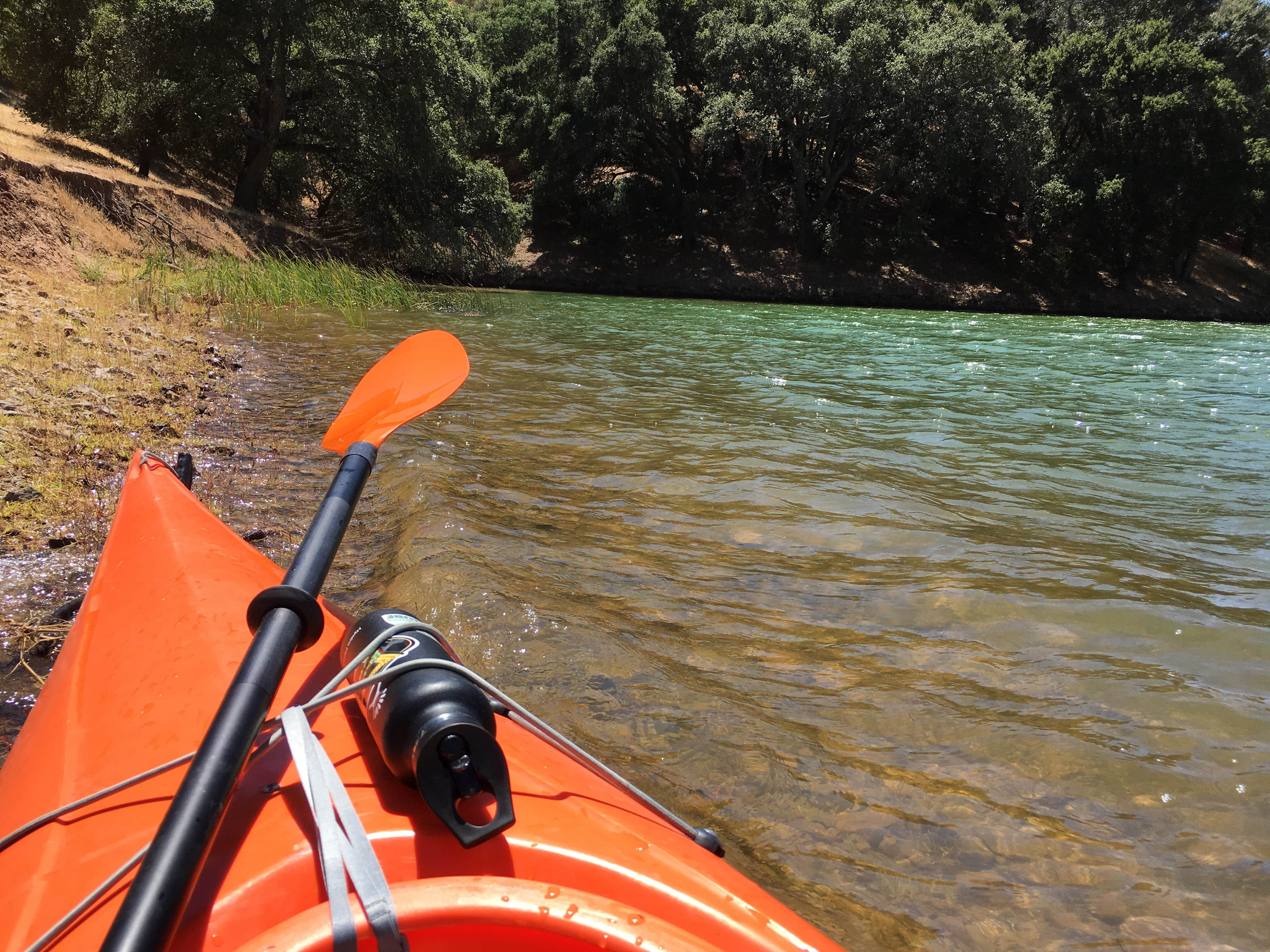 Camper-submitted photo at Del Valle Campground — East Bay Regional Park District near Pittsburg, CA