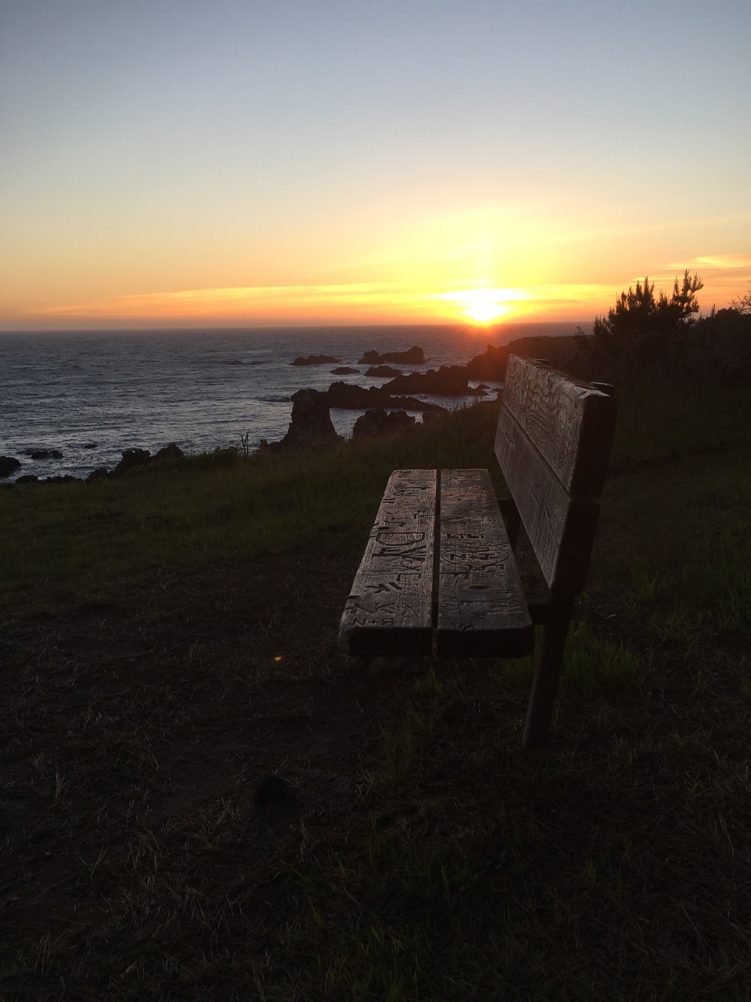 Camper submitted image from Stillwater Cove Regional Park - 3