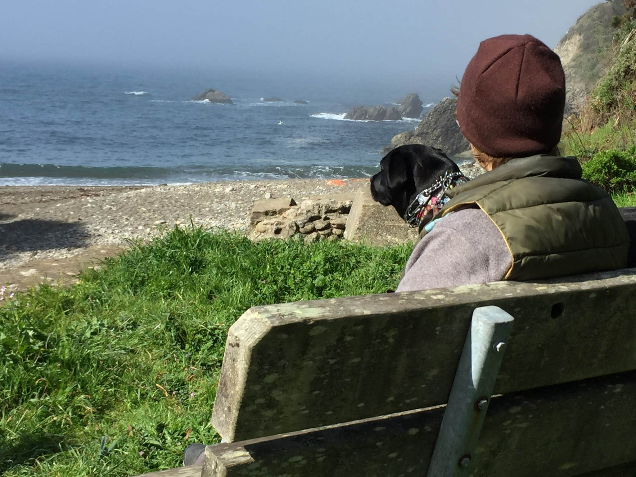 Rosina A.'s photo of camping with pets at Stillwater Cove Regional Park near Cloverdale, CA