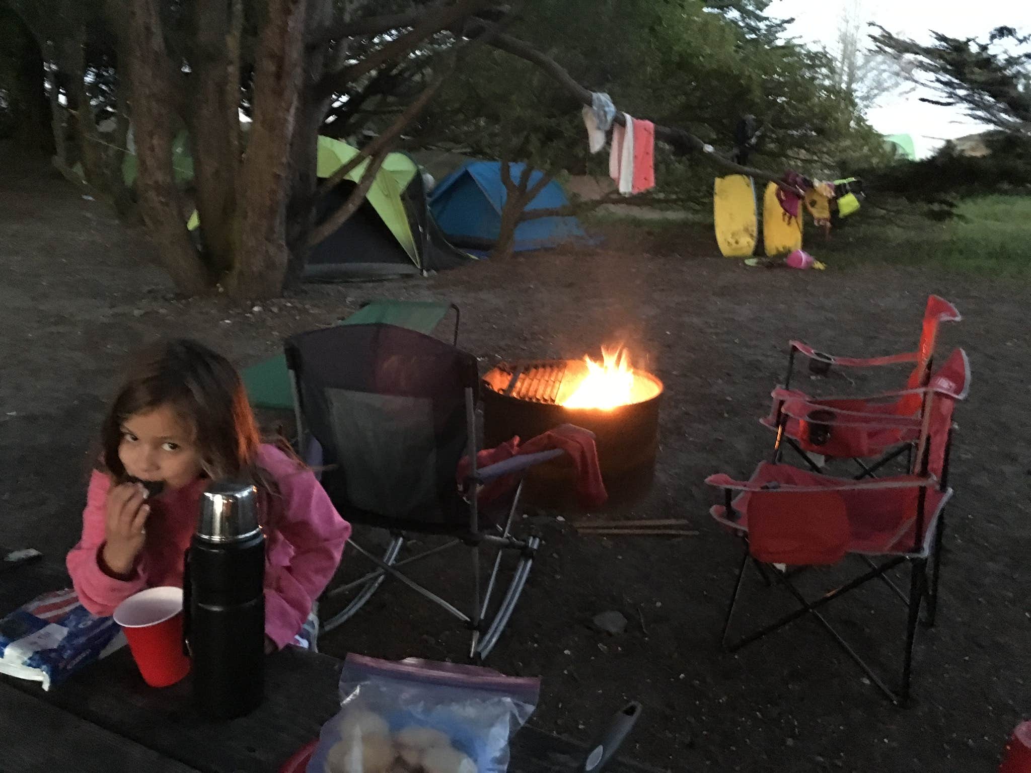 Rosina A.'s photo at Doran Campground near Sebastopol, CA