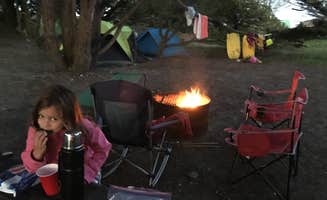 Rosina A.'s photo at Doran Campground near Sebastopol, CA