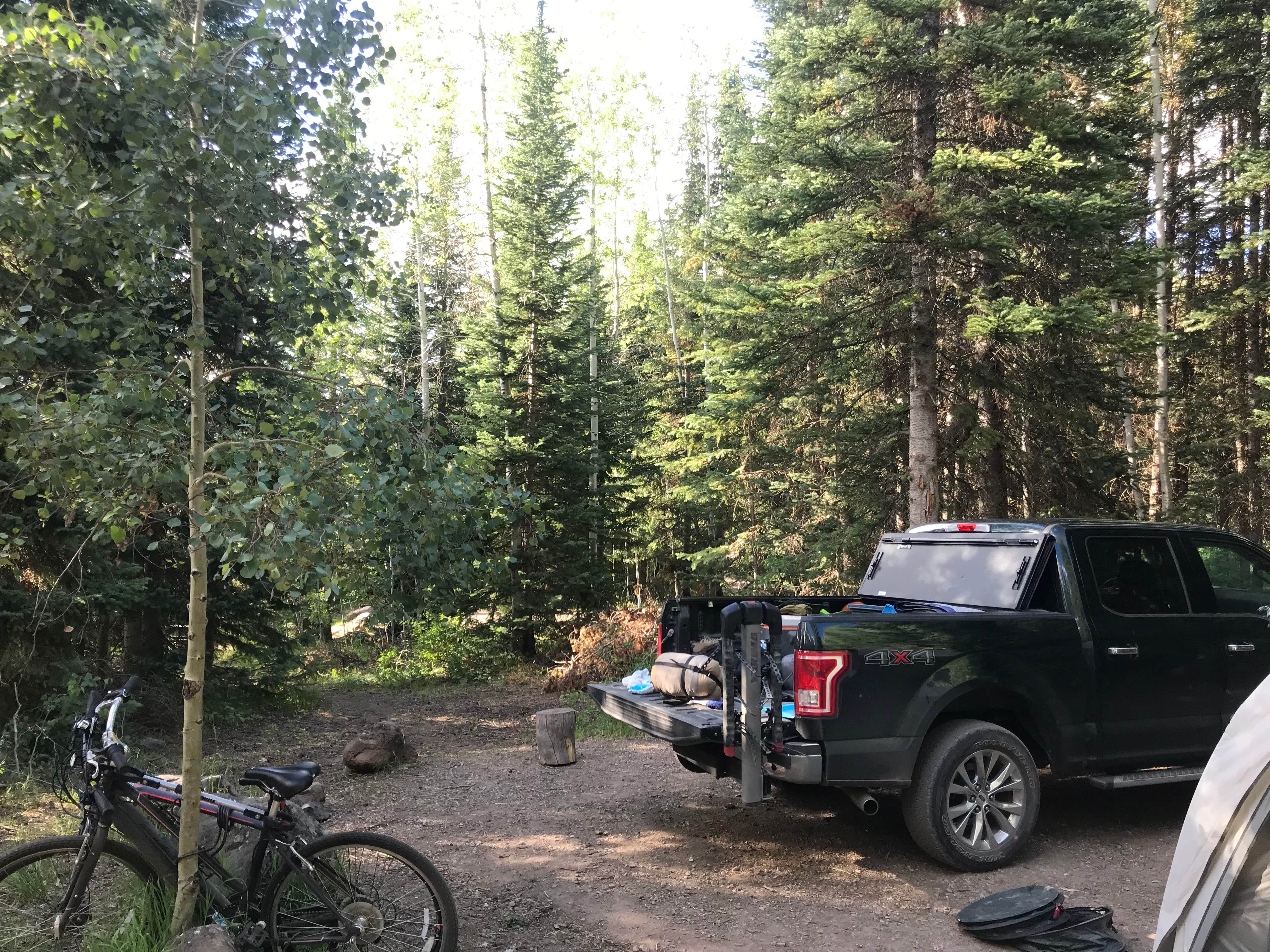 Camper submitted image from East Marvine - 5
