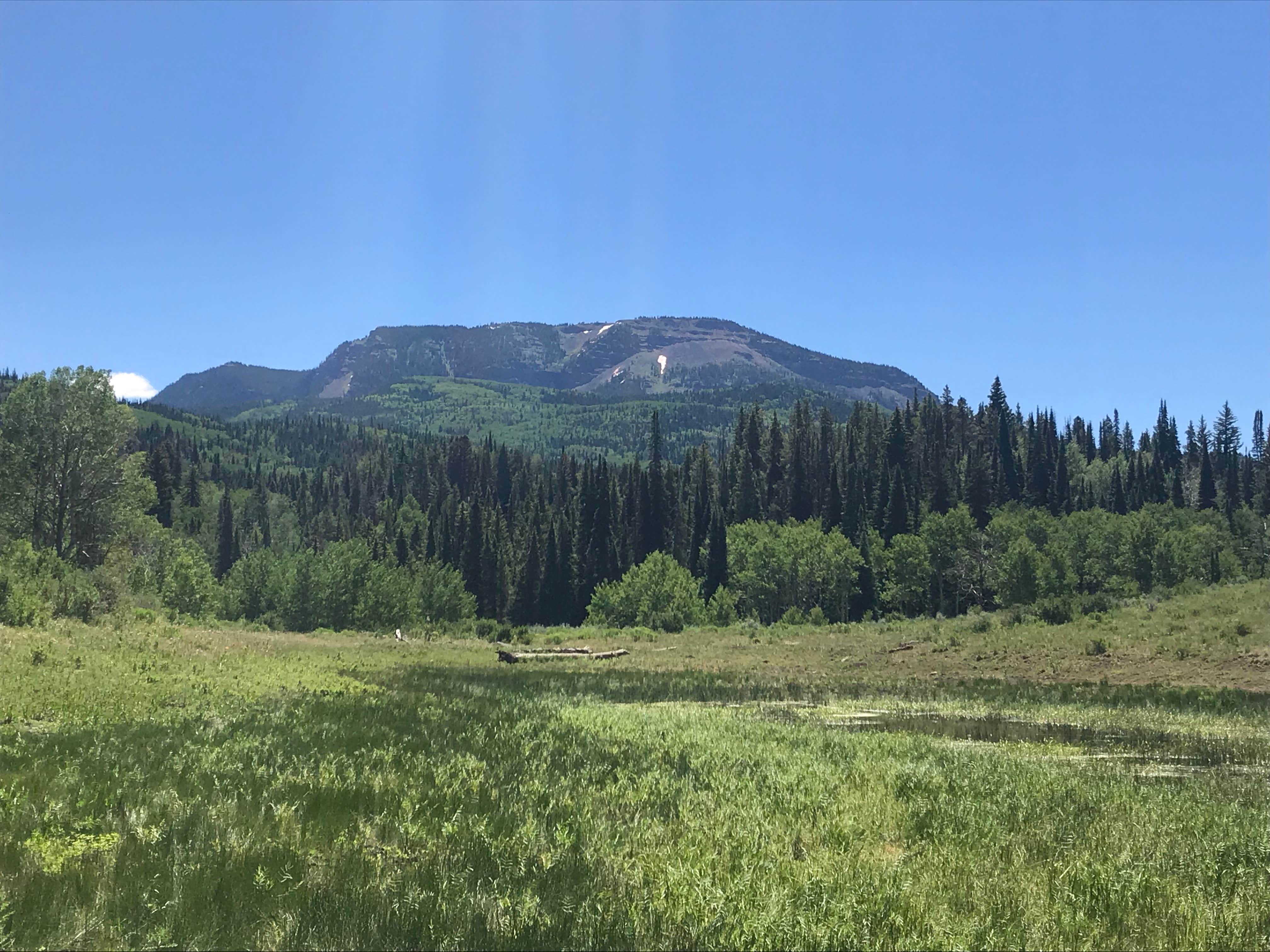 Camper-submitted photo at East Marvine near Glenwood Springs, CO
