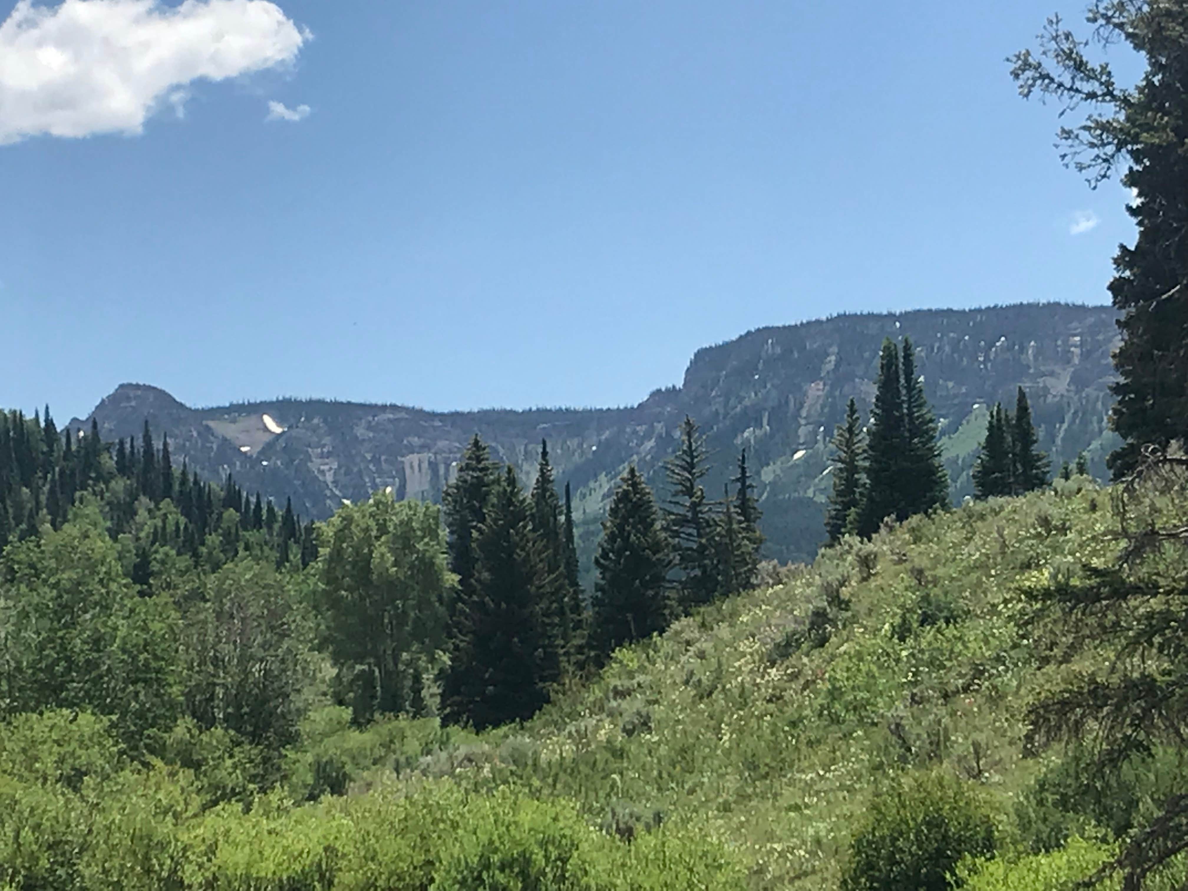 Camper-submitted photo at East Marvine near Glenwood Springs, CO