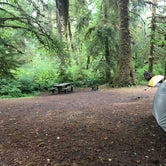 Review photo of Queets Campground — Olympic National Park by Josh W., August 7, 2018