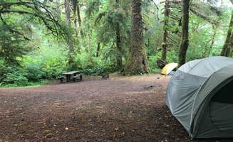 Josh W.'s photo at Queets Campground — Olympic National Park near Amanda Park, WA