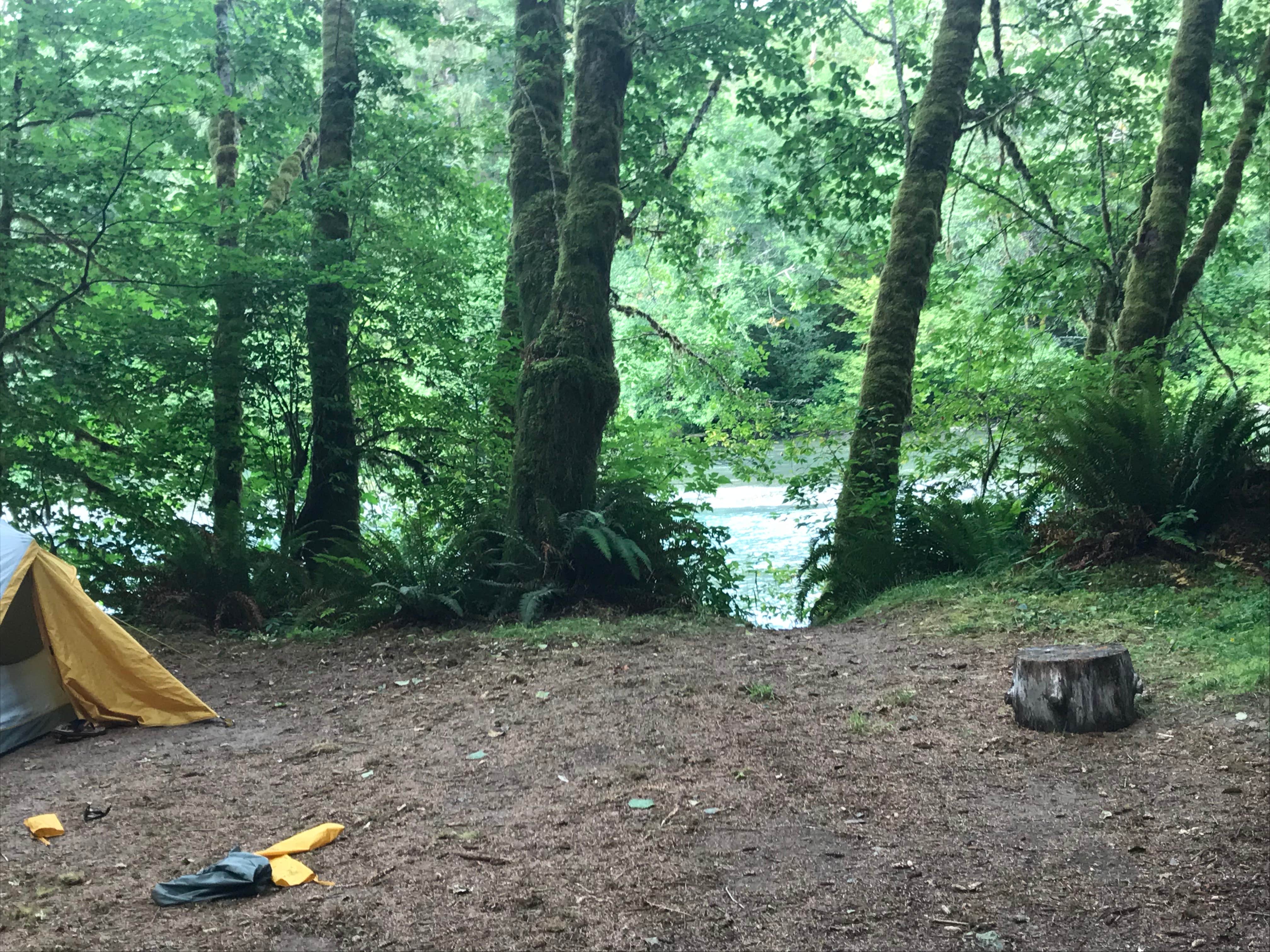 Josh W.'s photo at Queets Campground — Olympic National Park near Olympic National Forest