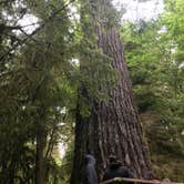 Review photo of Queets Campground — Olympic National Park by Josh W., August 7, 2018