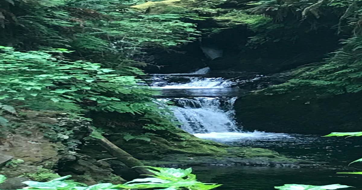 Queets Campground — Olympic National Park Camping Forks, WA The Dyrt