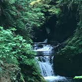 Review photo of Queets Campground — Olympic National Park by Josh W., August 7, 2018