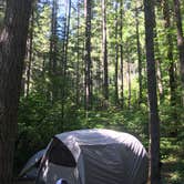 Review photo of Bogus Creek Campground - CLOSED by Josh W., August 7, 2018