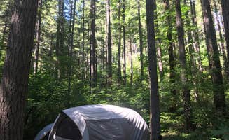 Josh W.'s photo at Bogus Creek Campground - CLOSED near Myrtle Creek, OR