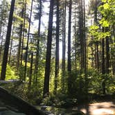 Review photo of Bogus Creek Campground - CLOSED by Josh W., August 7, 2018