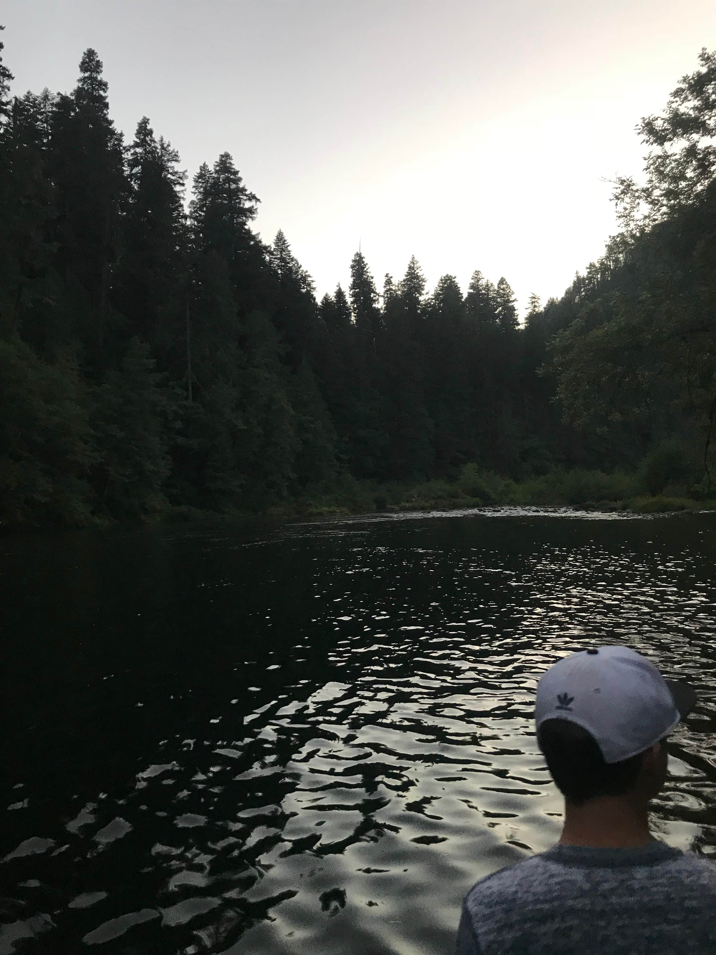 Camper submitted image from Bogus Creek Campground - CLOSED - 4