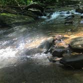 Review photo of Holly River State Park Campground by Missy S., August 7, 2018