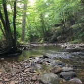 Review photo of Holly River State Park Campground by Missy S., August 7, 2018
