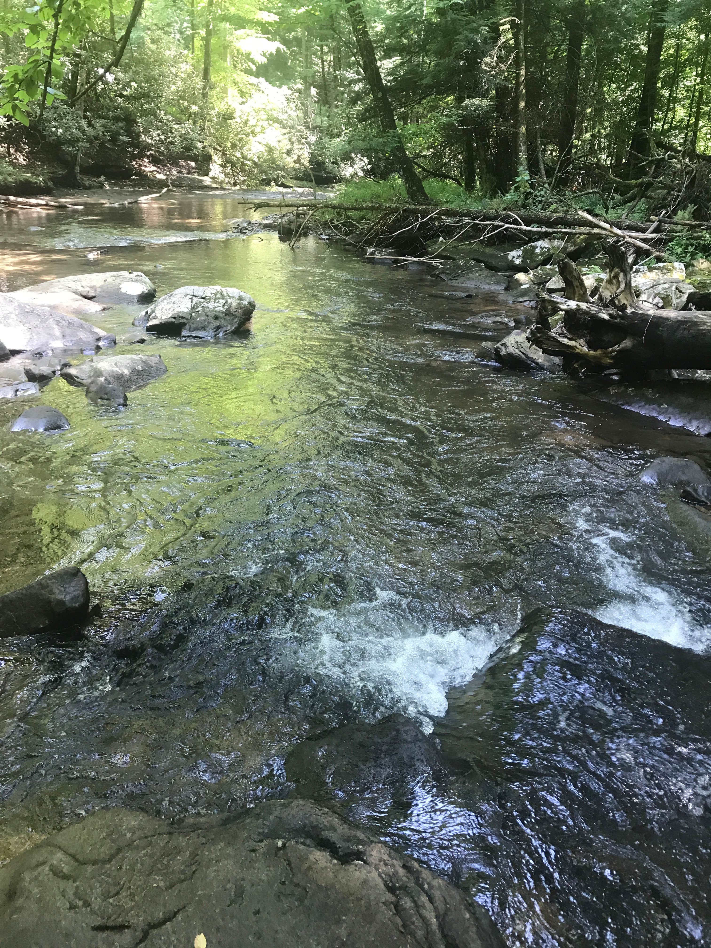 Camper-submitted photo at Holly River State Park Campground near Walkersville, WV