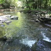 Review photo of Holly River State Park Campground by Missy S., August 7, 2018