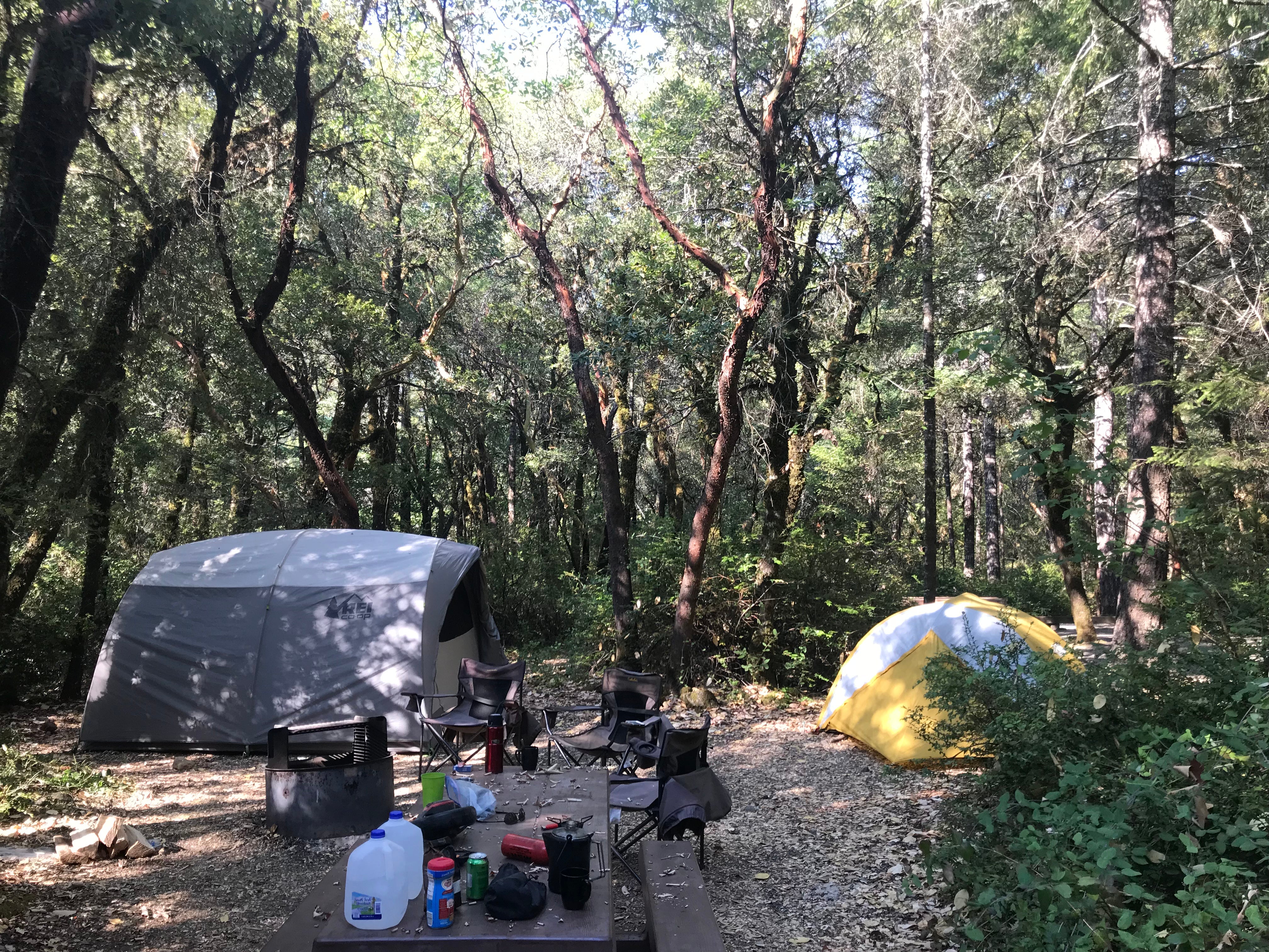 Camper submitted image from Grassy Flat Campground - 4