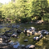 Review photo of Grassy Flat Campground by Josh W., August 7, 2018
