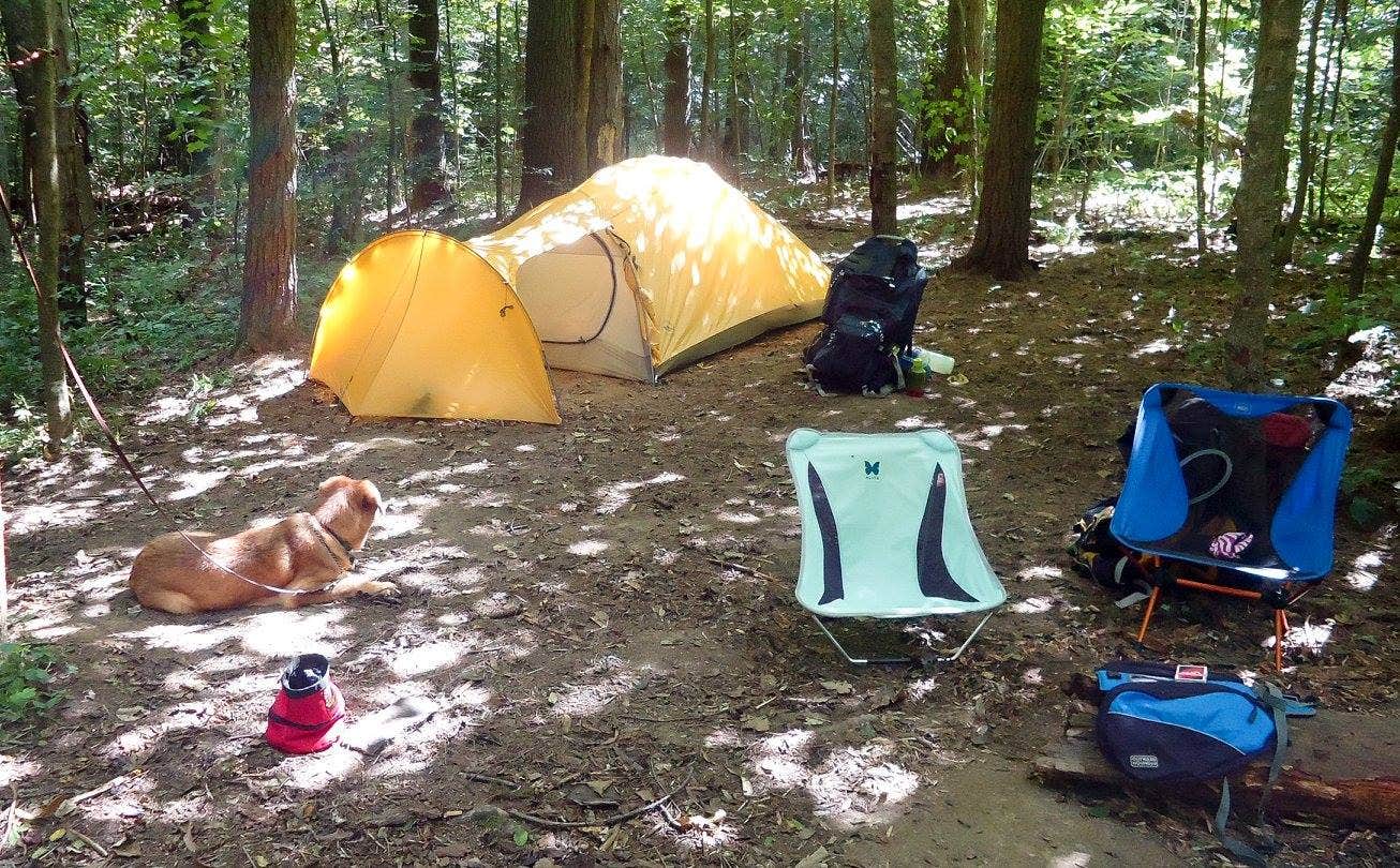 Camper submitted image from Wildcat Hollow Hiking Trail Dispersed - 2