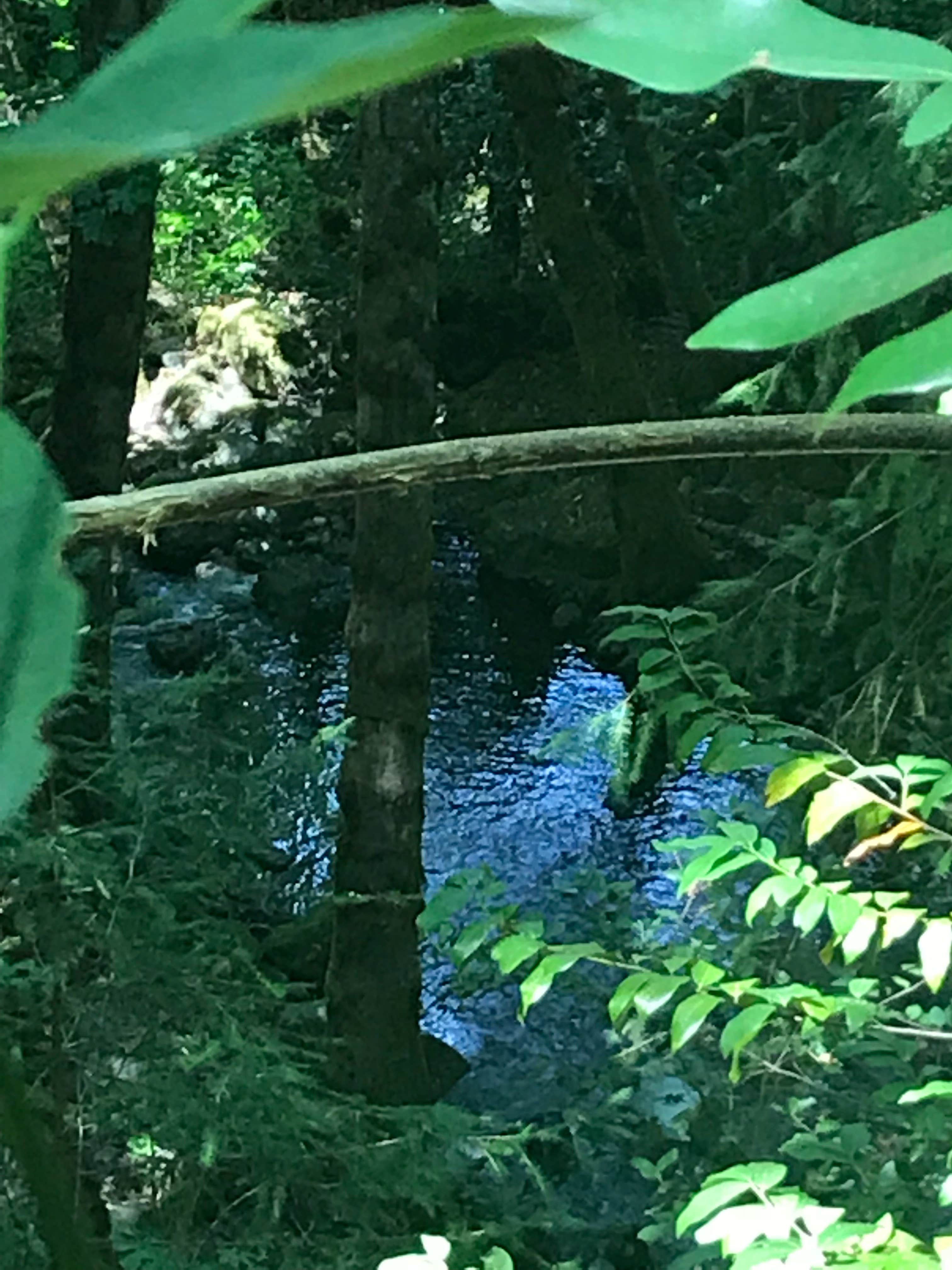 Camper-submitted photo at Pearch Creek Campground near Sawyers Bar, CA