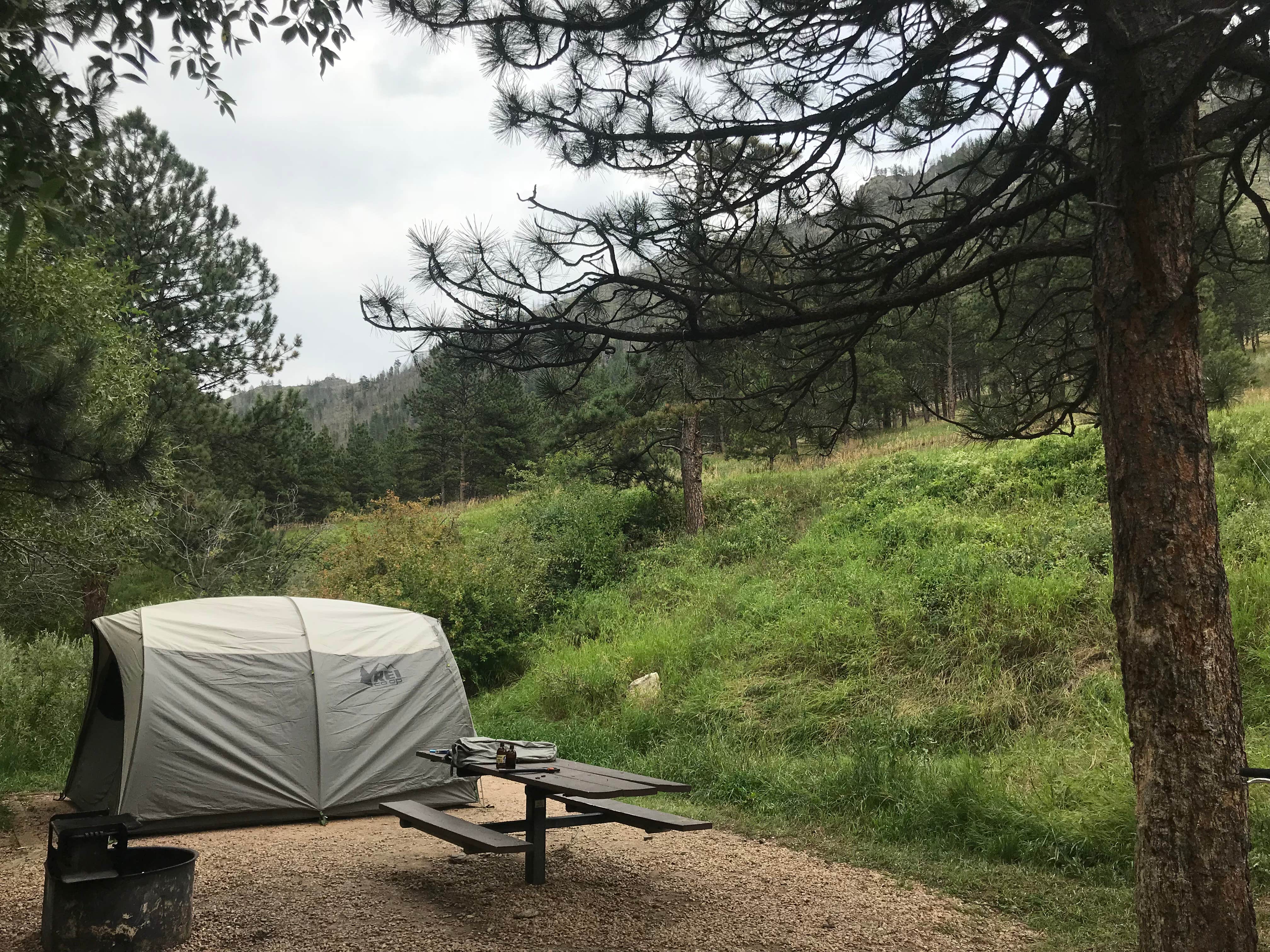 Josh W.'s photo at Upper and Lower Ansel Watrous Campgrounds near Fort Collins, CO