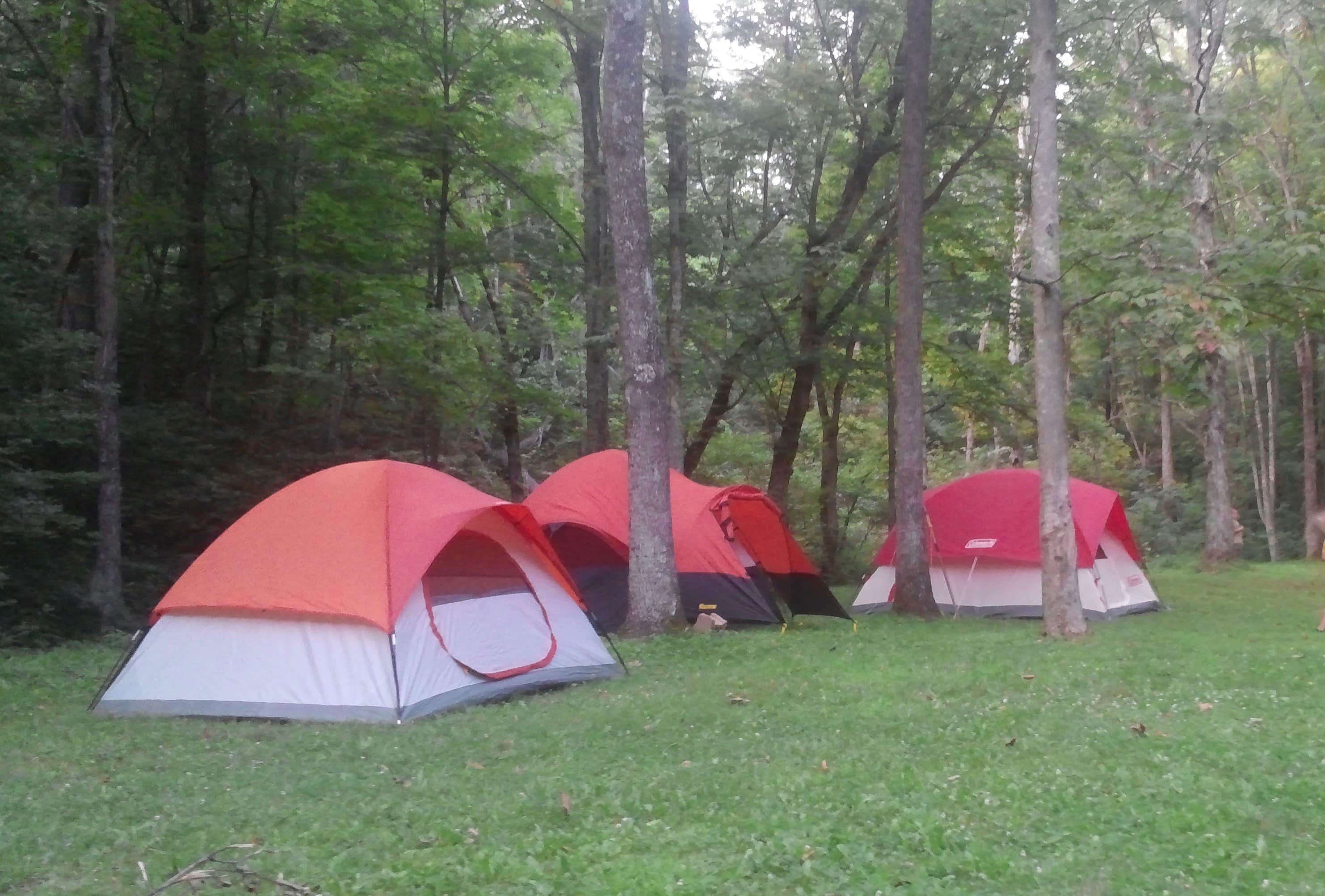 Camper submitted image from Strouds Run State Park Campground - 3