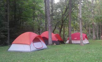 Leon H.'s photo at Strouds Run State Park Campground near Lubeck, WV