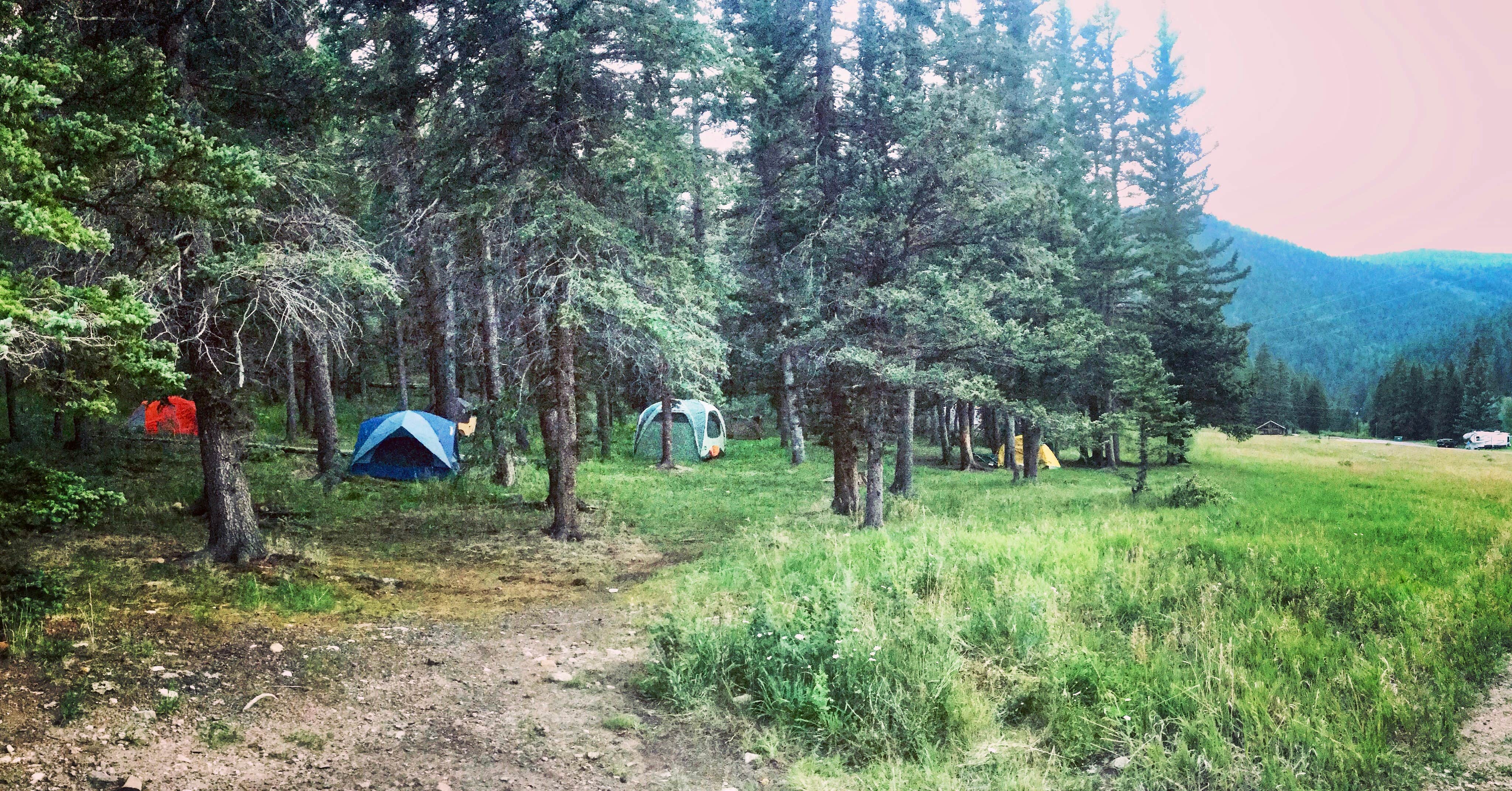 Camper submitted image from Agua Piedra Campground - 5