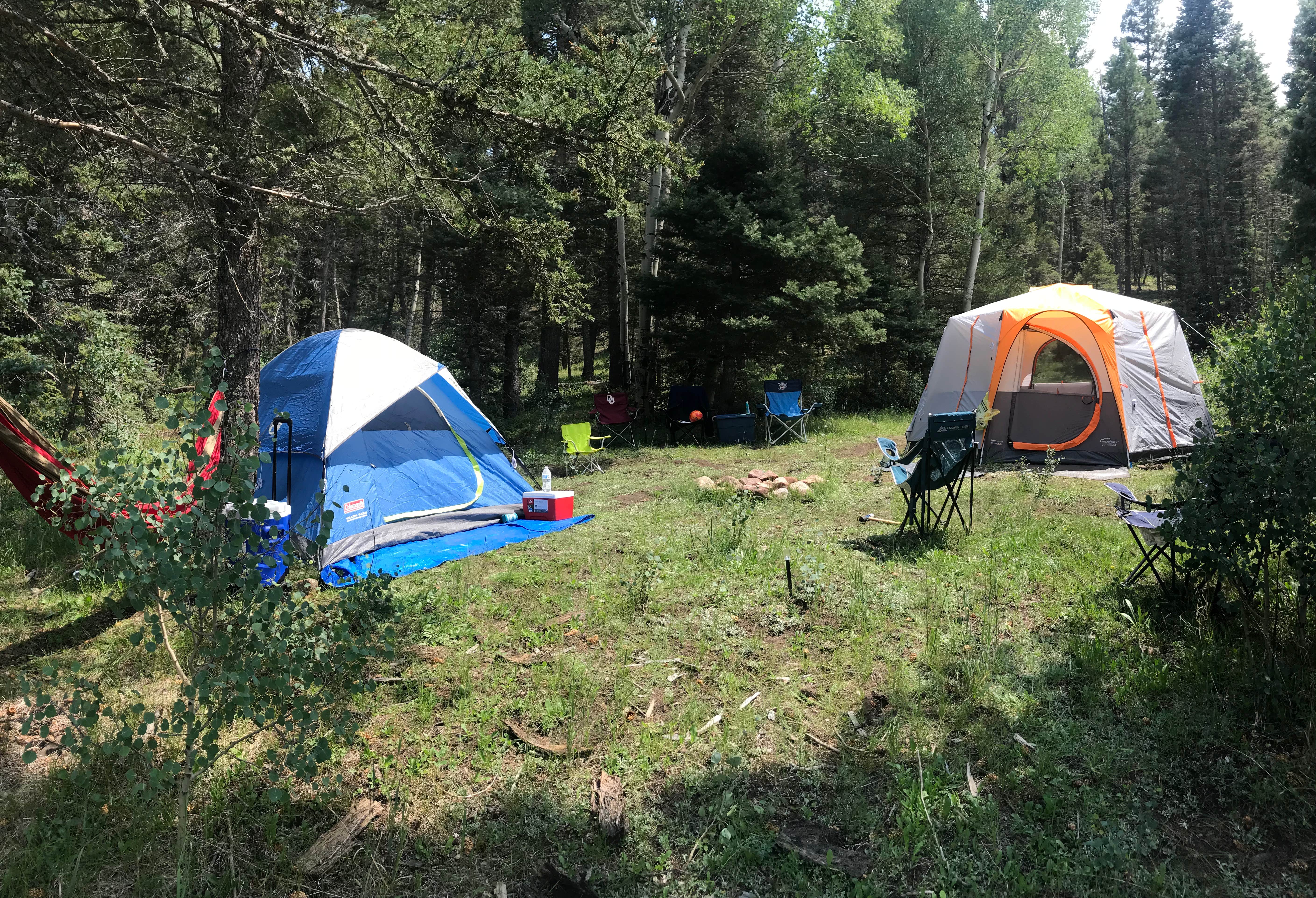 Camper submitted image from Agua Piedra Campground - 4