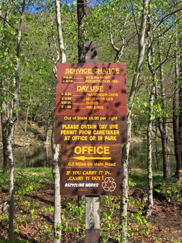 Camper submitted image from Devil's Tombstone Campground - 5