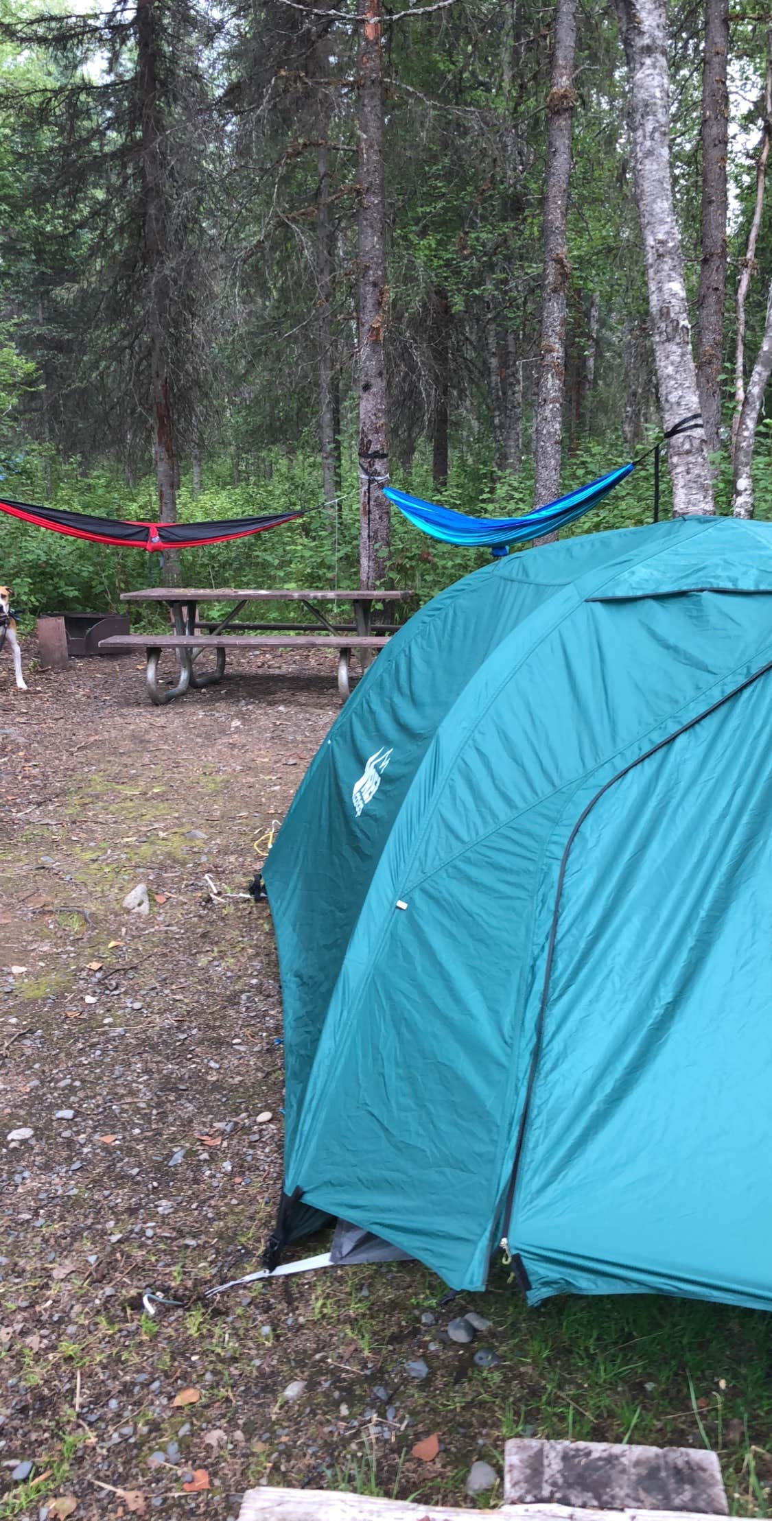 Emily G.'s photo at Byers Lake Campground near Talkeetna, AK