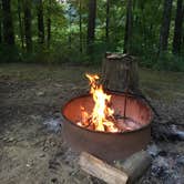 Review photo of Mt Gilead State Park Campground by Renee L., August 7, 2018