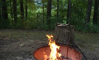 Renee L.'s photo at Mt Gilead State Park Campground near Sunbury, OH