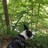 Review photo of Mt Gilead State Park Campground by Renee L., August 7, 2018