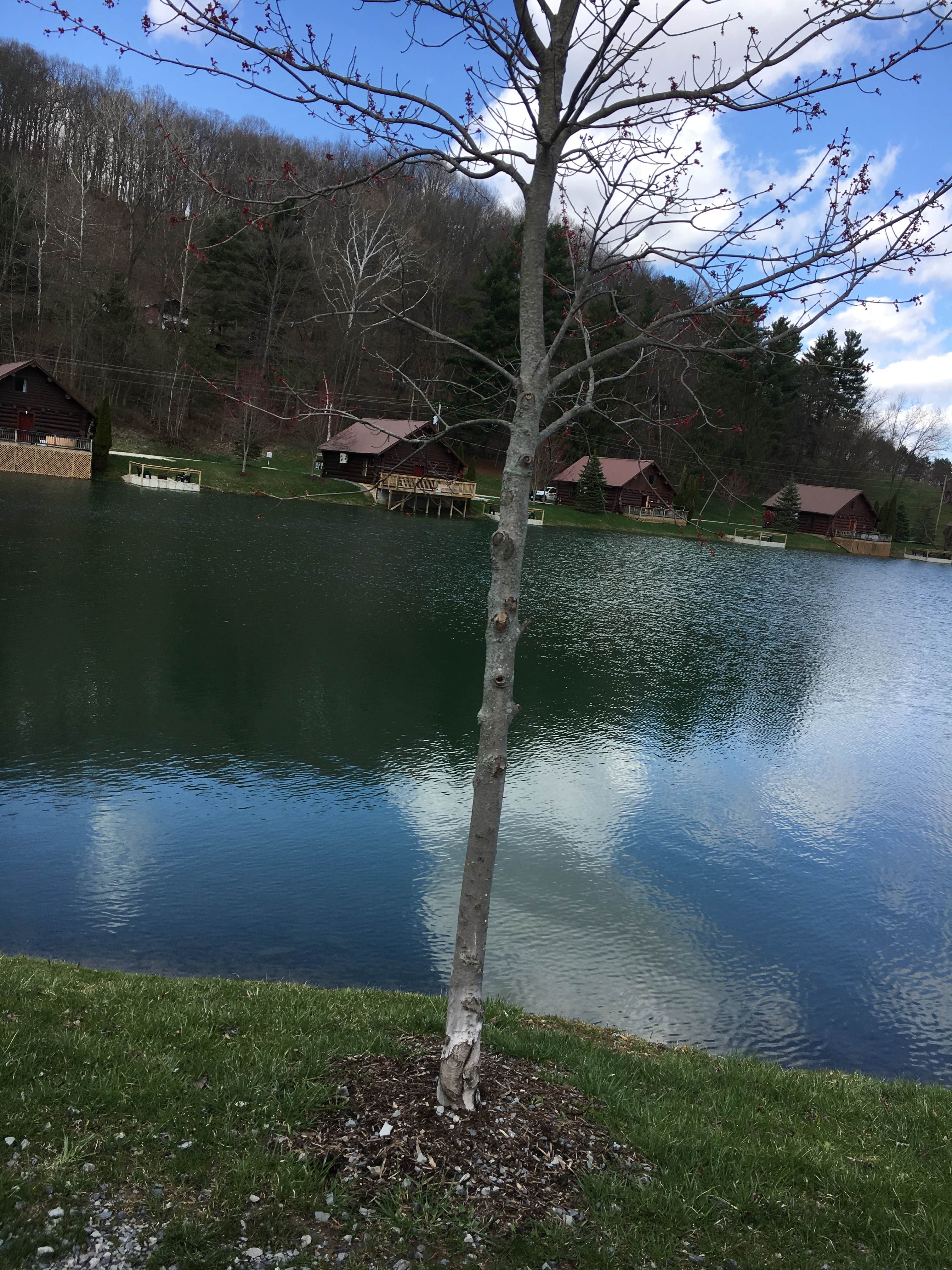 Camper-submitted photo at Mohican Adventures Campground and Cabins near Danville, OH