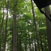 Review photo of Cardinal Center Campground by Renee L., August 7, 2018
