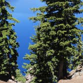 Review photo of Mazama Village Campground — Crater Lake National Park by Eva W., June 19, 2015