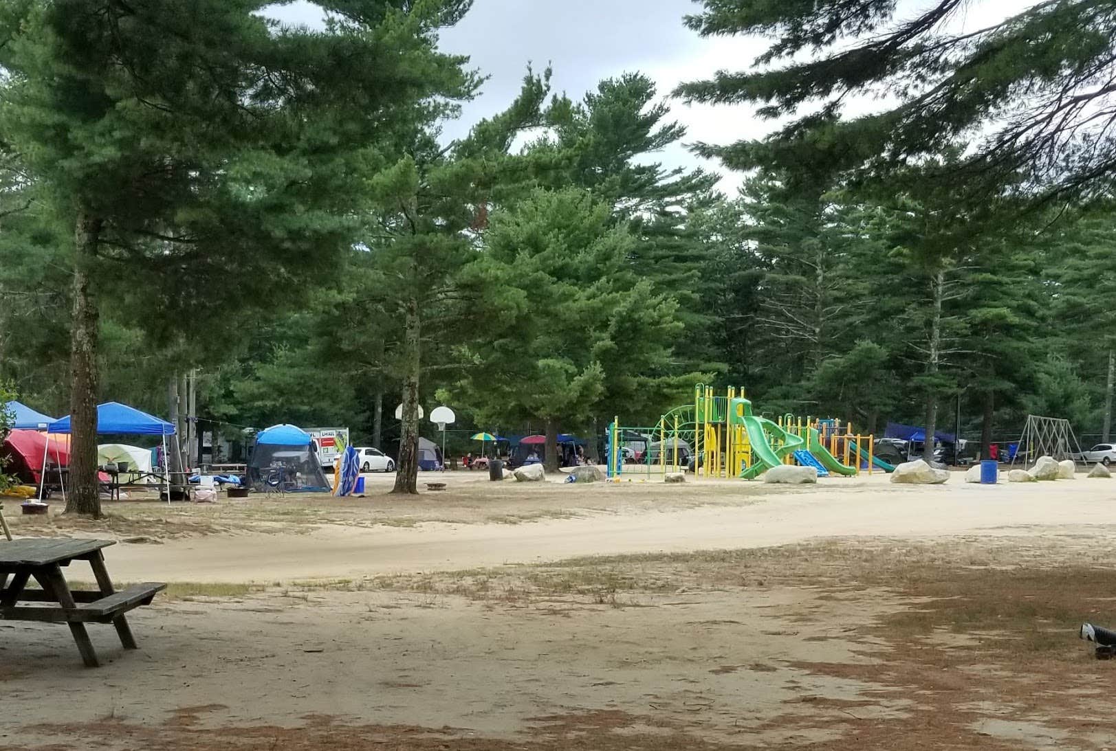 Camping near Charge Pond Campground — Myles Standish State Forest: Ellis-Haven Family Campground, Carver, Massachusetts