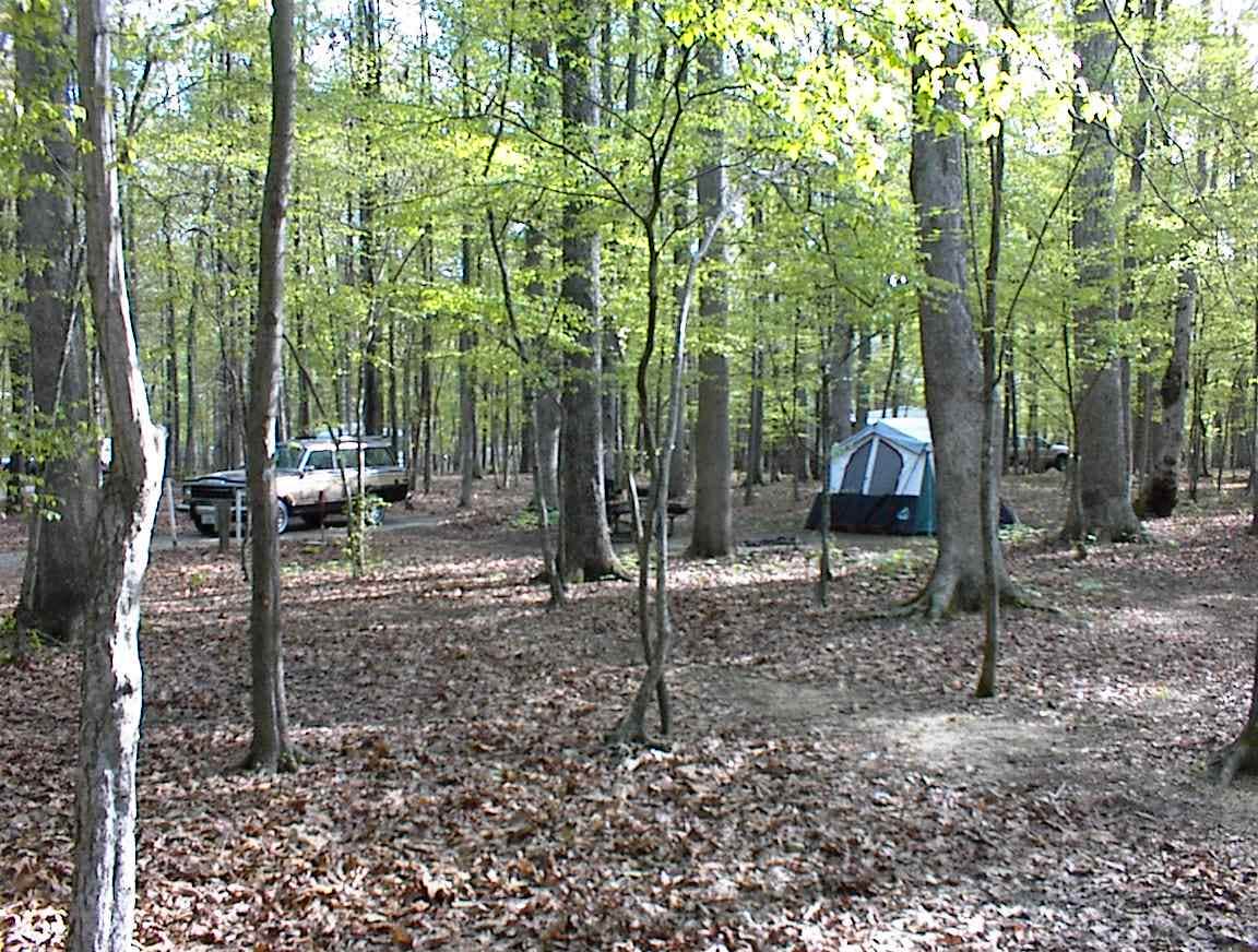 Newport News Park Camping Newport News VA