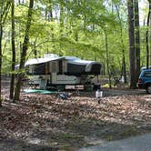 Review photo of Newport News Park by Cliff M., August 7, 2018