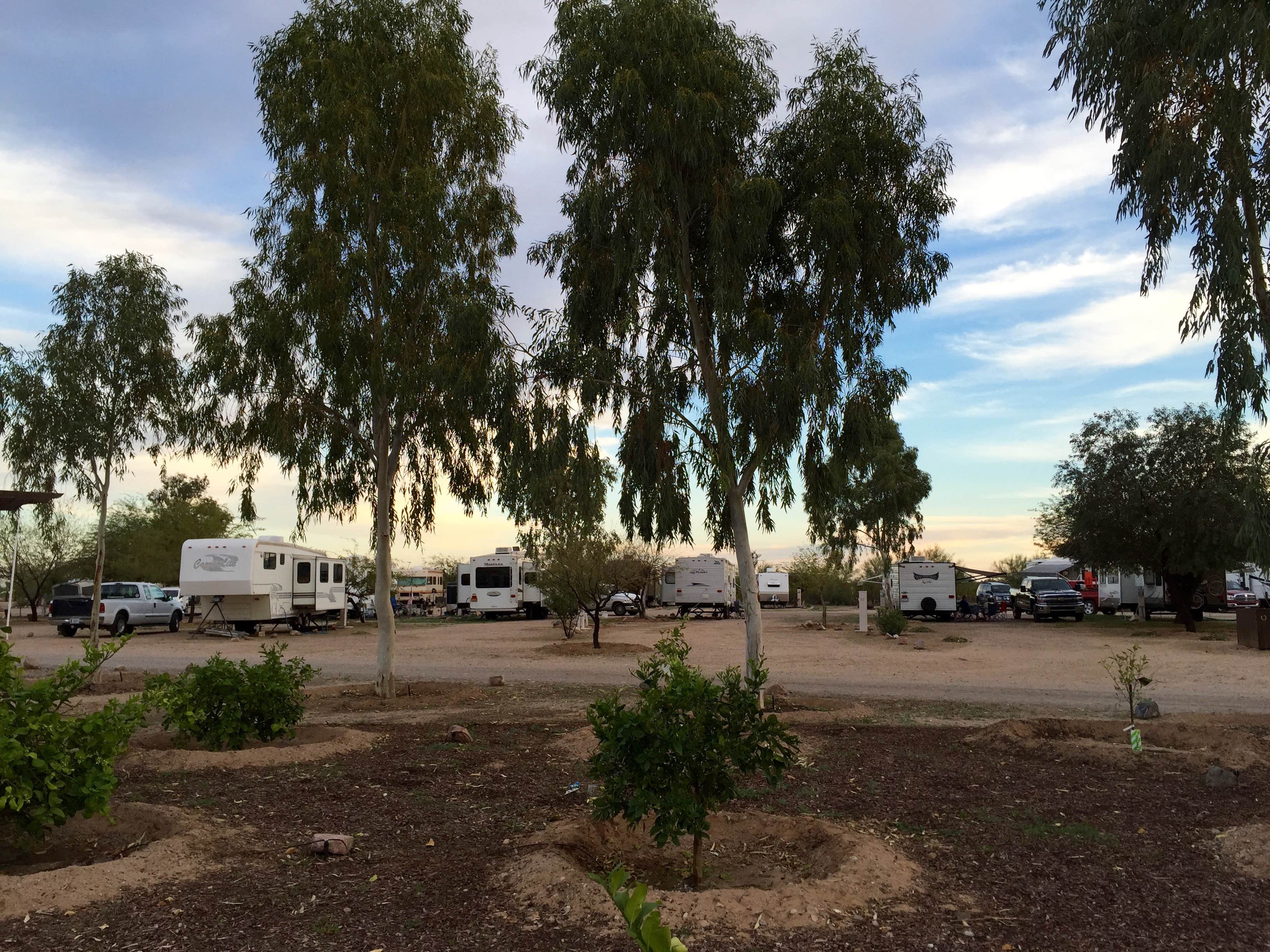 Camper submitted image from Wild West Ranch & RV Resort - 2