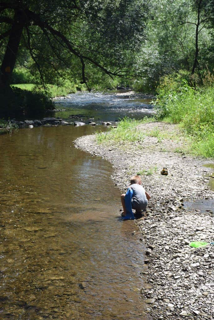 Camper-submitted photo at Four Winds Campground near Portageville, NY