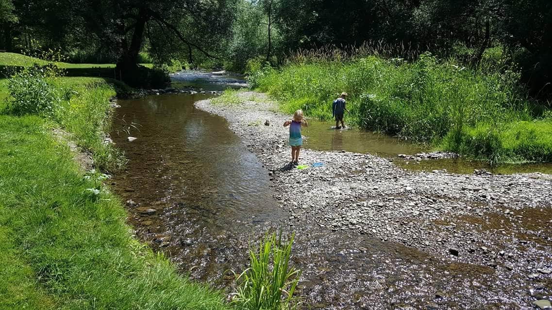 Camper-submitted photo at Four Winds Campground near Portageville, NY