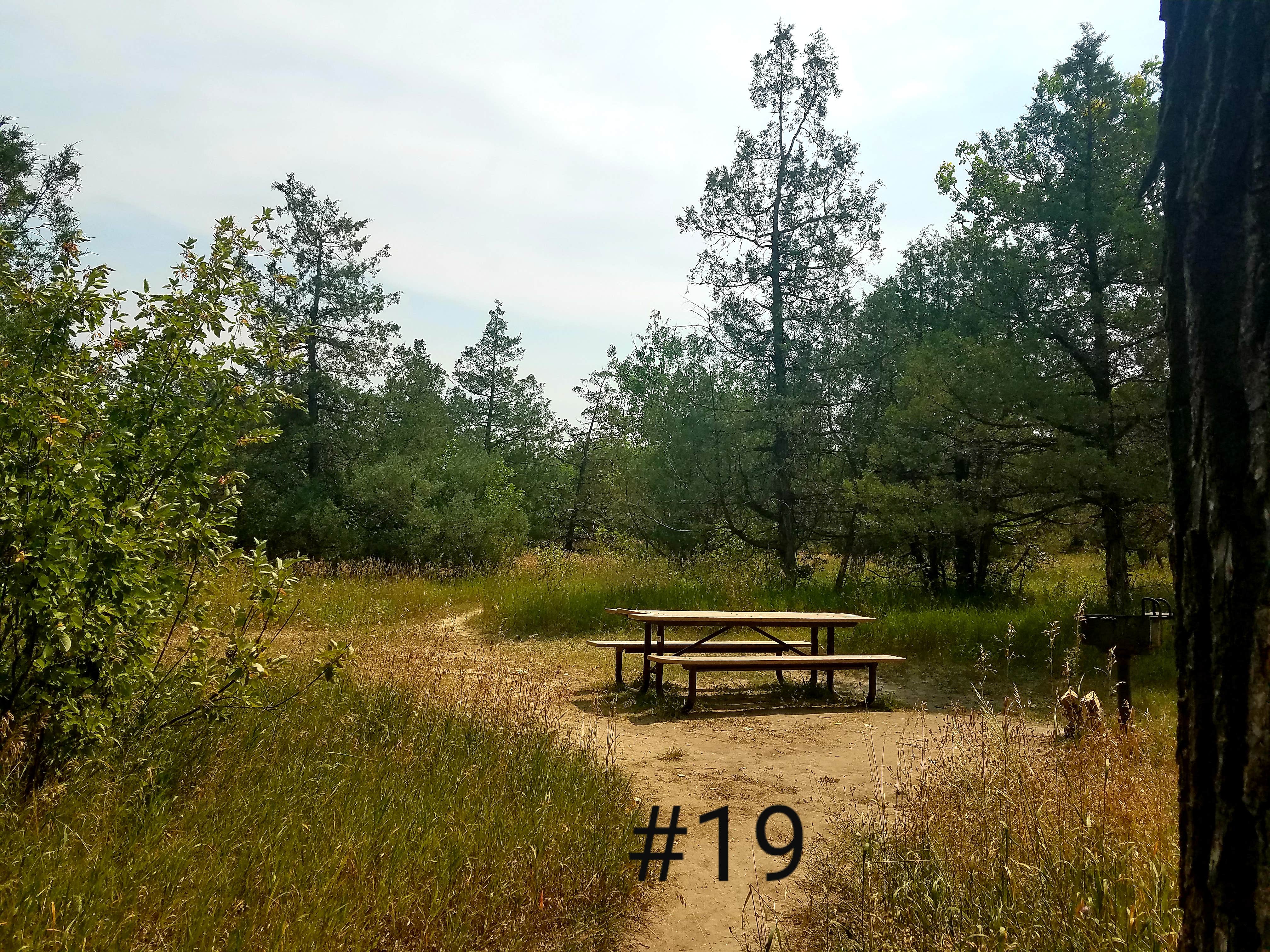 Camper submitted image from Cottonwood Campground — Theodore Roosevelt National Park - 3