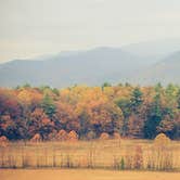 Review photo of Cades Cove Campground by Meg  S., July 1, 2015