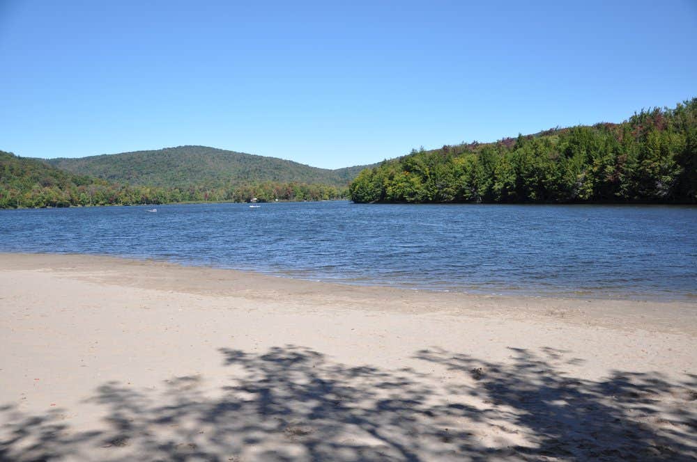 Mongaup Pond Camping The Dyrt