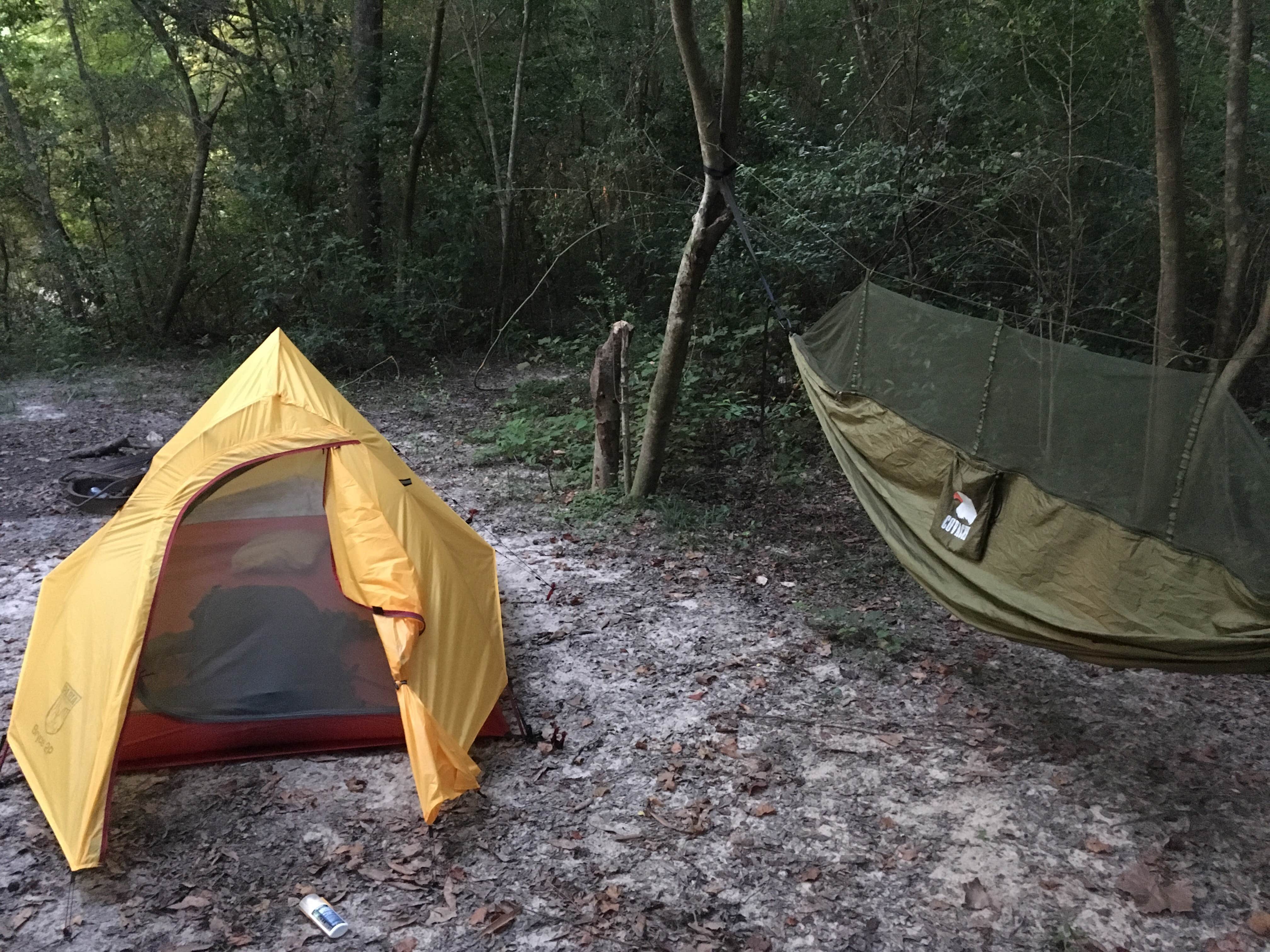 Camper submitted image from Lake Houston Wilderness Park - 2