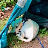 Review photo of Side Lake Campground — McCarthy Beach State Park by Rachael W., August 7, 2018